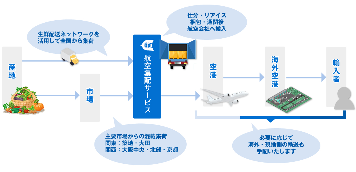 輸出生鮮貨物搬送の流れ